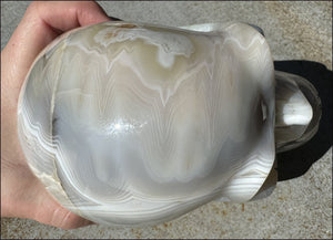 LifeSize Madagascar AGATE Crystal Skull with Fantastic Banding, Bi-Colored Dendritic inclusions