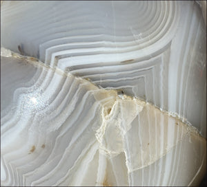 LifeSize Madagascar AGATE Crystal Skull with Fantastic Banding, Bi-Colored Dendritic inclusions