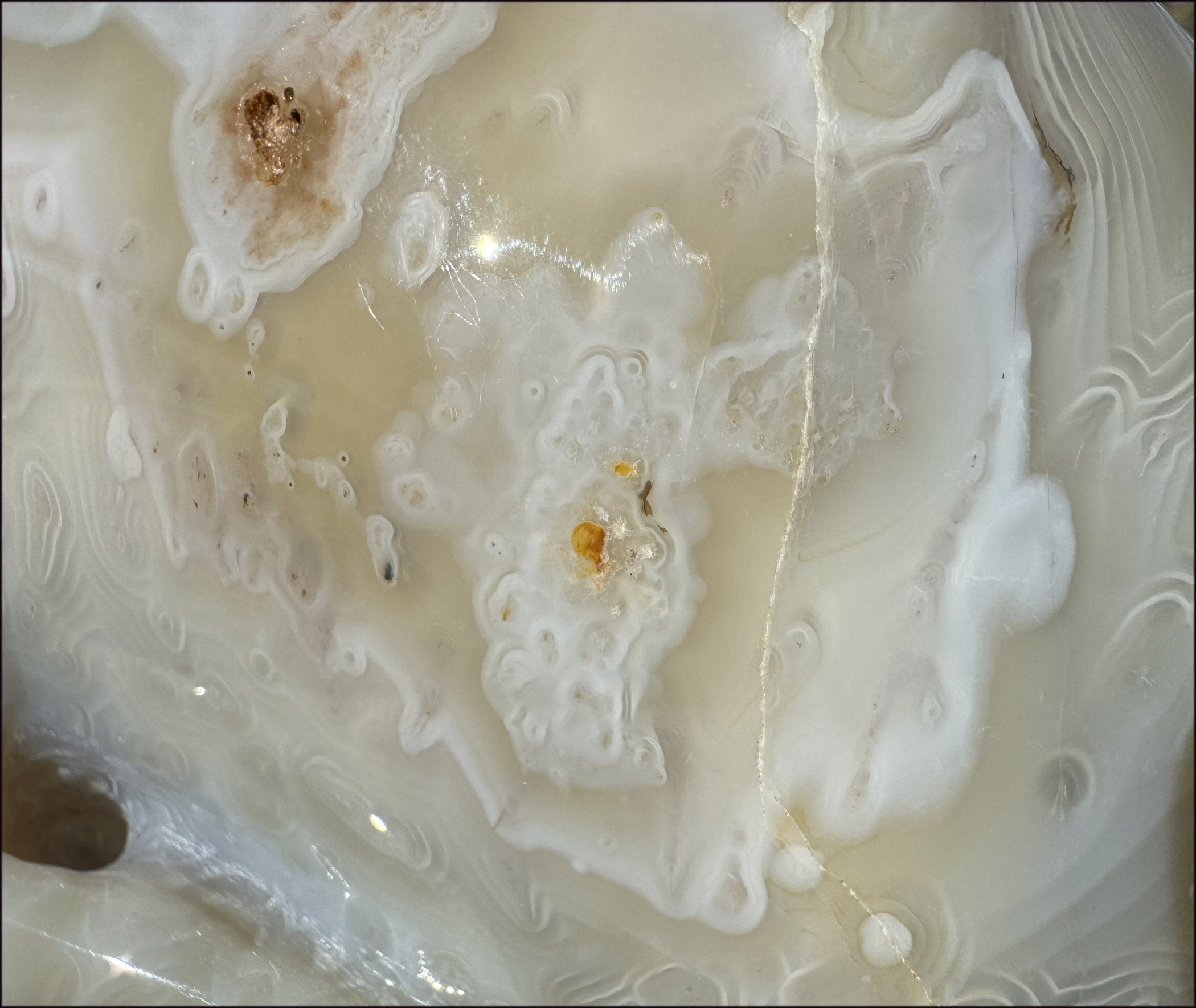 LifeSize Madagascar AGATE Crystal Skull with Fantastic Banding, Bi-Colored Dendritic inclusions