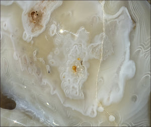 LifeSize Madagascar AGATE Crystal Skull with Fantastic Banding, Bi-Colored Dendritic inclusions