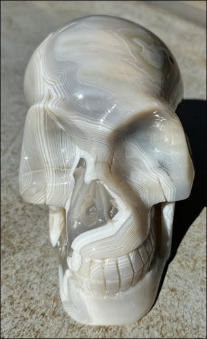 LifeSize Madagascar AGATE Crystal Skull with Fantastic Banding, Bi-Colored Dendritic inclusions
