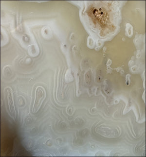 LifeSize Madagascar AGATE Crystal Skull with Fantastic Banding, Bi-Colored Dendritic inclusions