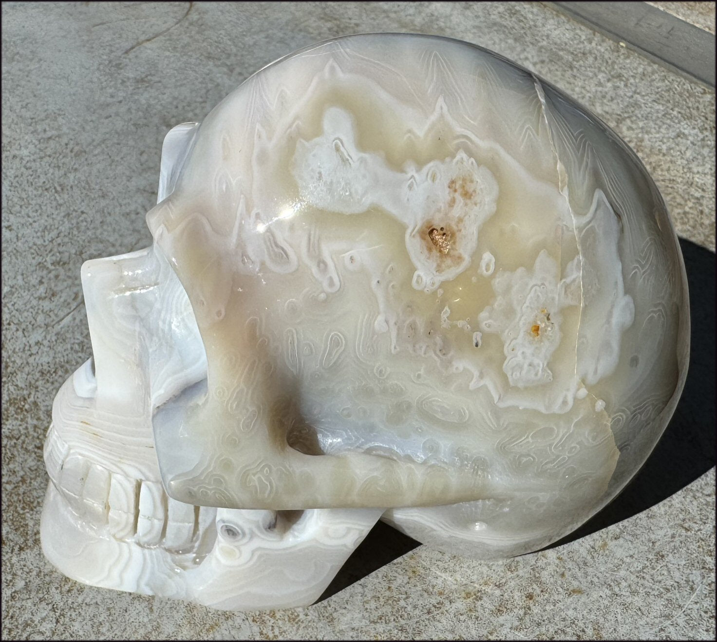 LifeSize Madagascar AGATE Crystal Skull with Fantastic Banding, Bi-Colored Dendritic inclusions