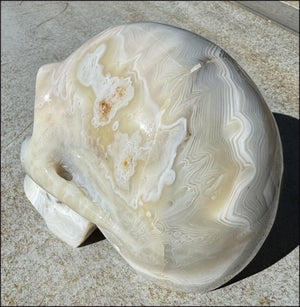 LifeSize Madagascar AGATE Crystal Skull with Fantastic Banding, Bi-Colored Dendritic inclusions