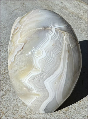 LifeSize Madagascar AGATE Crystal Skull with Fantastic Banding, Bi-Colored Dendritic inclusions