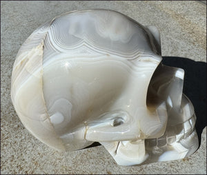 LifeSize Madagascar AGATE Crystal Skull with Fantastic Banding, Bi-Colored Dendritic inclusions