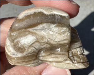 Banded Aragonite CRYSTAL SKULL - Grounding, Decrease stress - with Synergy 7+ years