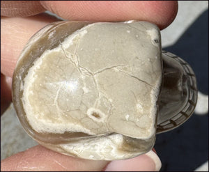 Banded Aragonite CRYSTAL SKULL - Grounding, Decrease stress - with Synergy 7+ years