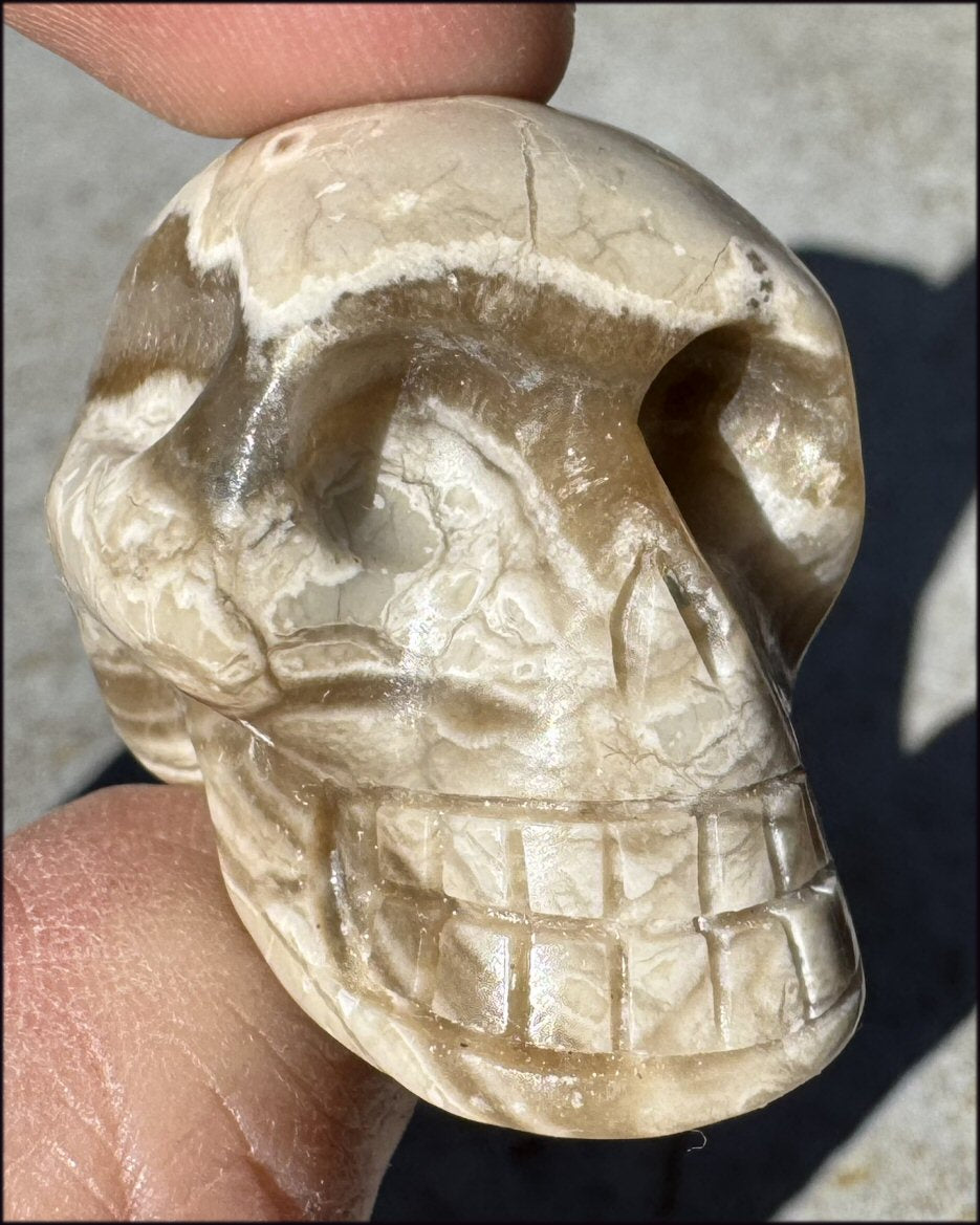 Banded Aragonite CRYSTAL SKULL - Grounding, Decrease stress - with Synergy 7+ years