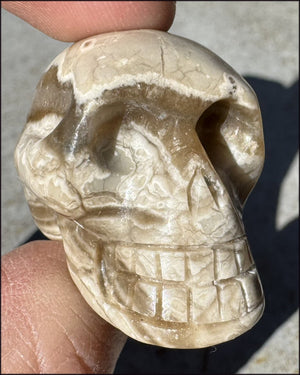 Banded Aragonite CRYSTAL SKULL - Grounding, Decrease stress - with Synergy 7+ years