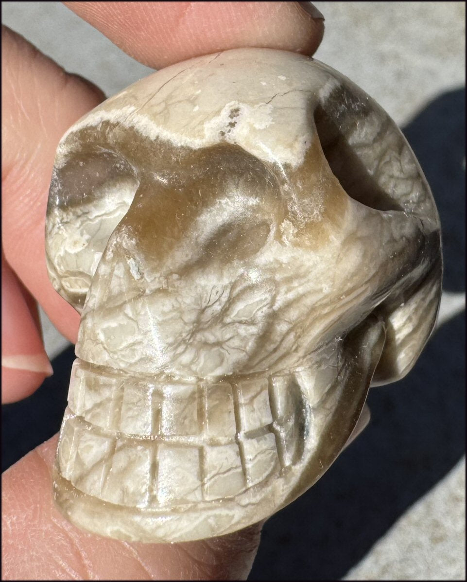 Banded Aragonite CRYSTAL SKULL - Grounding, Decrease stress - with Synergy 7+ years