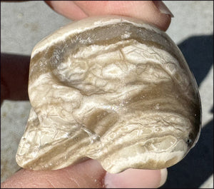 Banded Aragonite CRYSTAL SKULL - Grounding, Decrease stress - with Synergy 7+ years