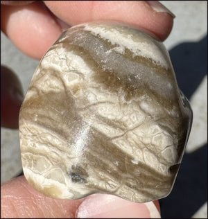 Banded Aragonite CRYSTAL SKULL - Grounding, Decrease stress - with Synergy 7+ years