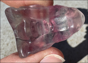Fluorite Baby DRAGON Crystal Skull - Divination, Meditation