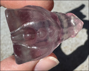 Fluorite Baby DRAGON Crystal Skull - Divination, Meditation