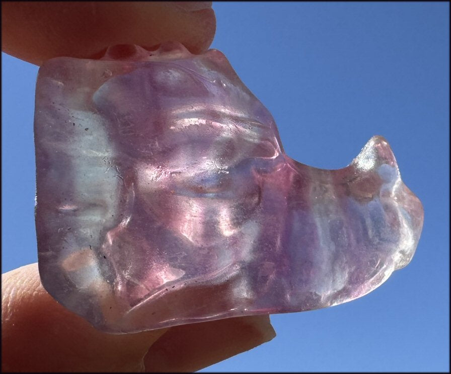 Fluorite Baby DRAGON Crystal Skull - Divination, Meditation