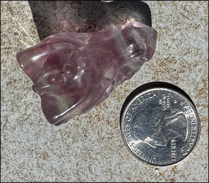 Fluorite Baby DRAGON Crystal Skull - Divination, Meditation