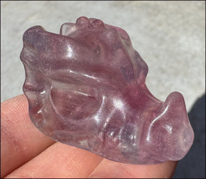 Fluorite Baby DRAGON Crystal Skull - Divination, Meditation