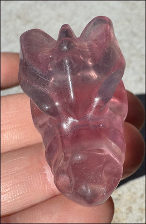 Fluorite Baby DRAGON Crystal Skull - Divination, Meditation