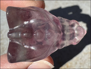 Fluorite Baby DRAGON Crystal Skull - Divination, Meditation