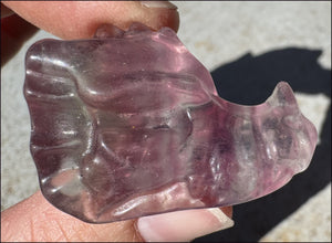 Fluorite Baby DRAGON Crystal Skull - Divination, Meditation