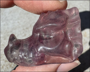 Fluorite Baby DRAGON Crystal Skull - Divination, Meditation