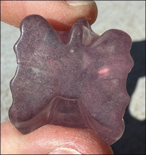 Fluorite Baby DRAGON Crystal Skull - Divination, Meditation
