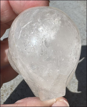 Lg. Himalayan Quartz STAR BEING Crystal Skull with Hematite, Chlorite, Rainbows