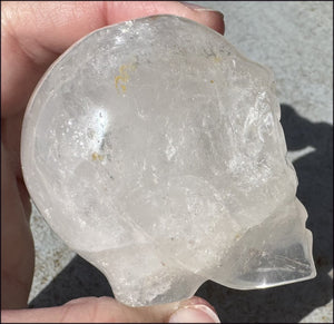 Lg. Himalayan Quartz STAR BEING Crystal Skull with Hematite, Chlorite, Rainbows