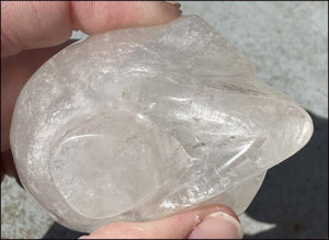Lg. Himalayan Quartz STAR BEING Crystal Skull with Hematite, Chlorite, Rainbows