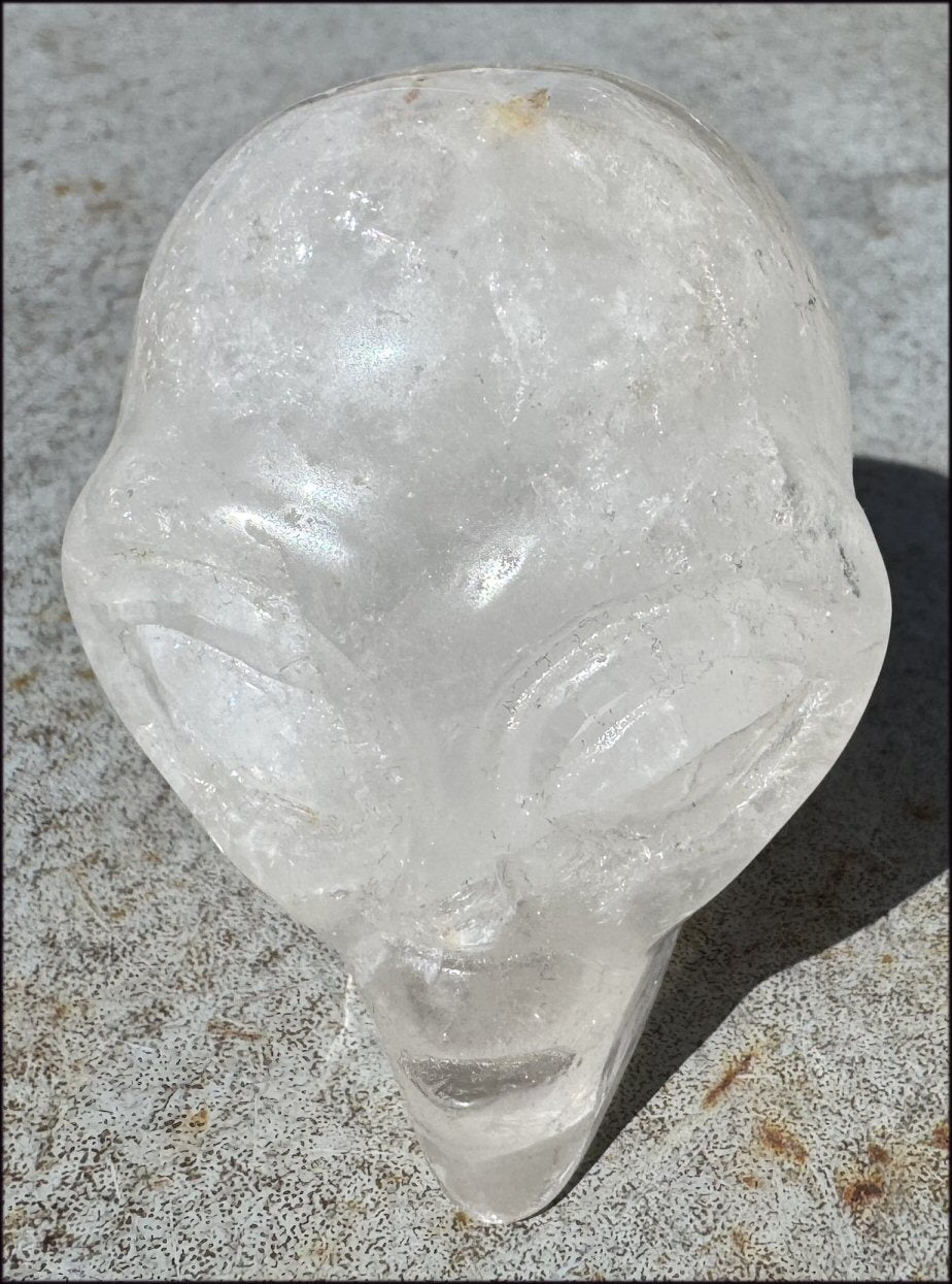 Lg. Himalayan Quartz STAR BEING Crystal Skull with Hematite, Chlorite, Rainbows