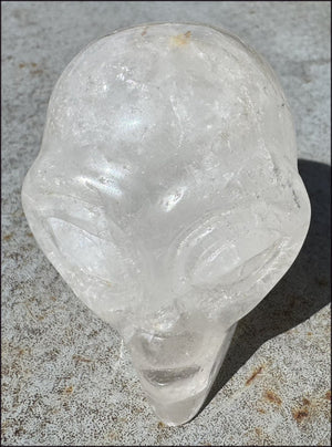 Lg. Himalayan Quartz STAR BEING Crystal Skull with Hematite, Chlorite, Rainbows