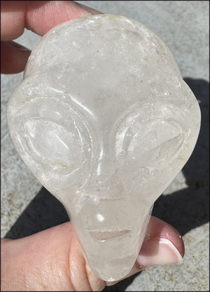 Lg. Himalayan Quartz STAR BEING Crystal Skull with Hematite, Chlorite, Rainbows