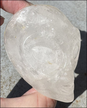 Lg. Himalayan Quartz STAR BEING Crystal Skull with Hematite, Chlorite, Rainbows