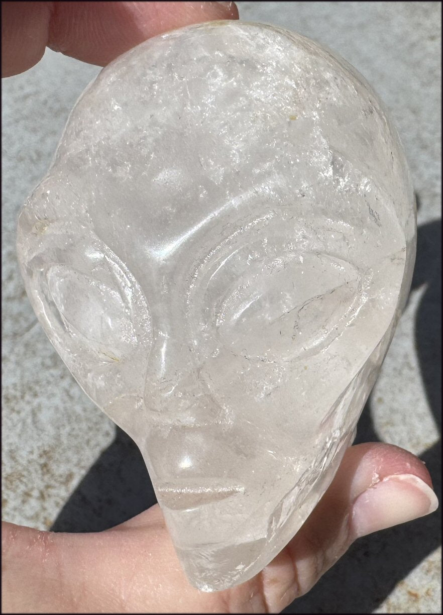 Lg. Himalayan Quartz STAR BEING Crystal Skull with Hematite, Chlorite, Rainbows