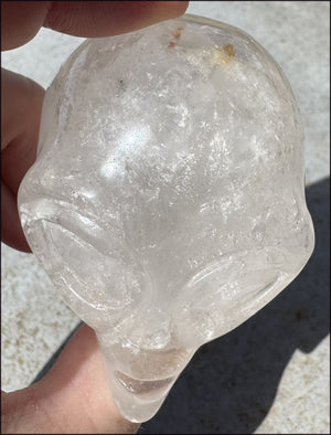 Lg. Himalayan Quartz STAR BEING Crystal Skull with Hematite, Chlorite, Rainbows