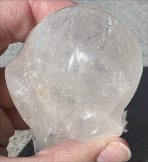 Lg. Himalayan Quartz STAR BEING Crystal Skull with Hematite, Chlorite, Rainbows
