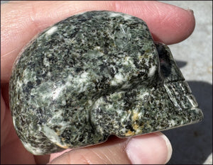 ~NEW~ Preseli Bluestone CRYSTAL SKULL - AKA Stonehenge Stone - Dream work!