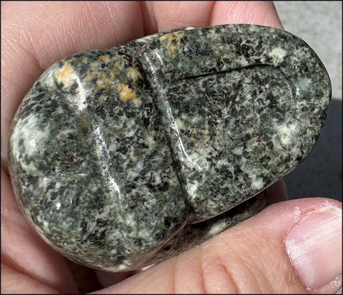 ~NEW~ Preseli Bluestone CRYSTAL SKULL - AKA Stonehenge Stone - Dream work!