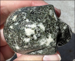 ~NEW~ Preseli Bluestone CRYSTAL SKULL - AKA Stonehenge Stone - Dream work!