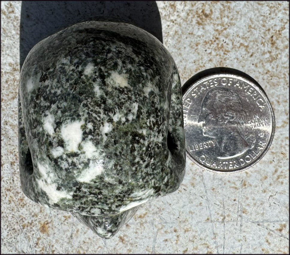~NEW~ Preseli Bluestone CRYSTAL SKULL - AKA Stonehenge Stone - Dream work!