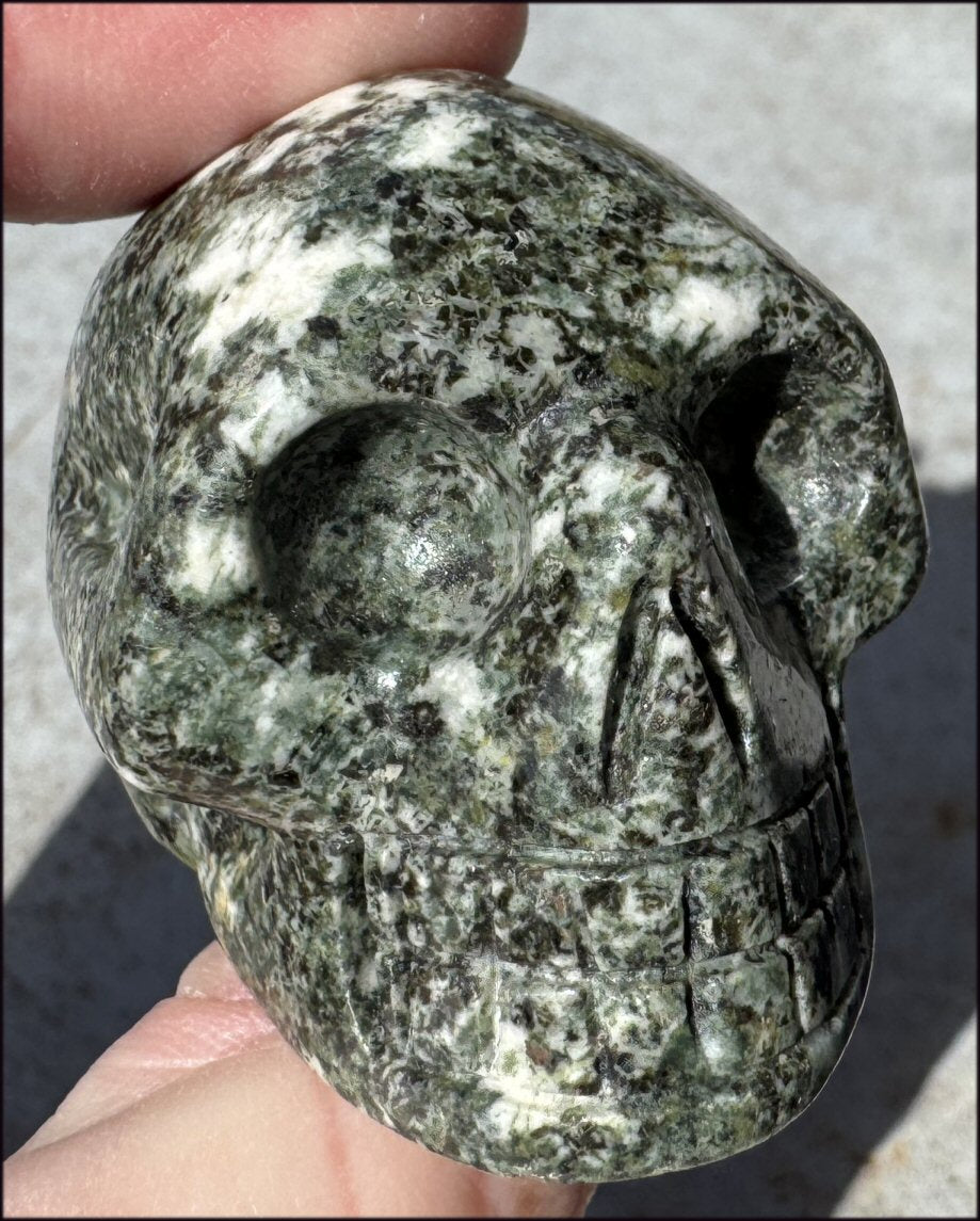 ~NEW~ Preseli Bluestone CRYSTAL SKULL - AKA Stonehenge Stone - Dream work!