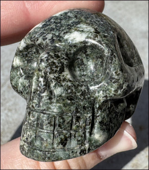 ~NEW~ Preseli Bluestone CRYSTAL SKULL - AKA Stonehenge Stone - Dream work!