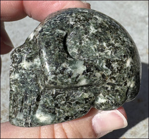 ~NEW~ Preseli Bluestone CRYSTAL SKULL - AKA Stonehenge Stone - Dream work!