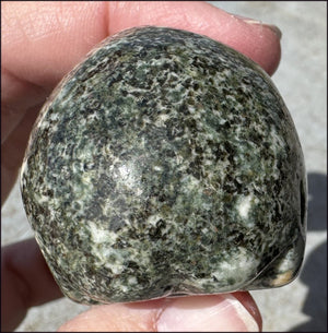 ~NEW~ Preseli Bluestone CRYSTAL SKULL - AKA Stonehenge Stone - Dream work!
