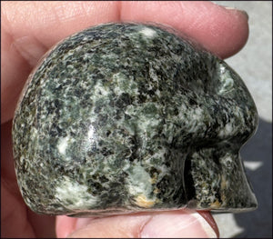 ~NEW~ Preseli Bluestone CRYSTAL SKULL - AKA Stonehenge Stone - Dream work!