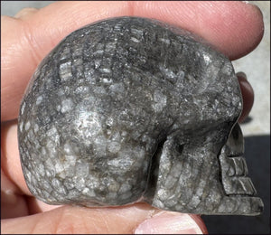 Fossilized Coral CRYSTAL SKULL - Dissipate negativity, Stimulate 3rd Eye