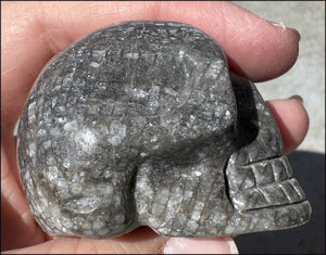 Fossilized Coral CRYSTAL SKULL - Dissipate negativity, Stimulate 3rd Eye