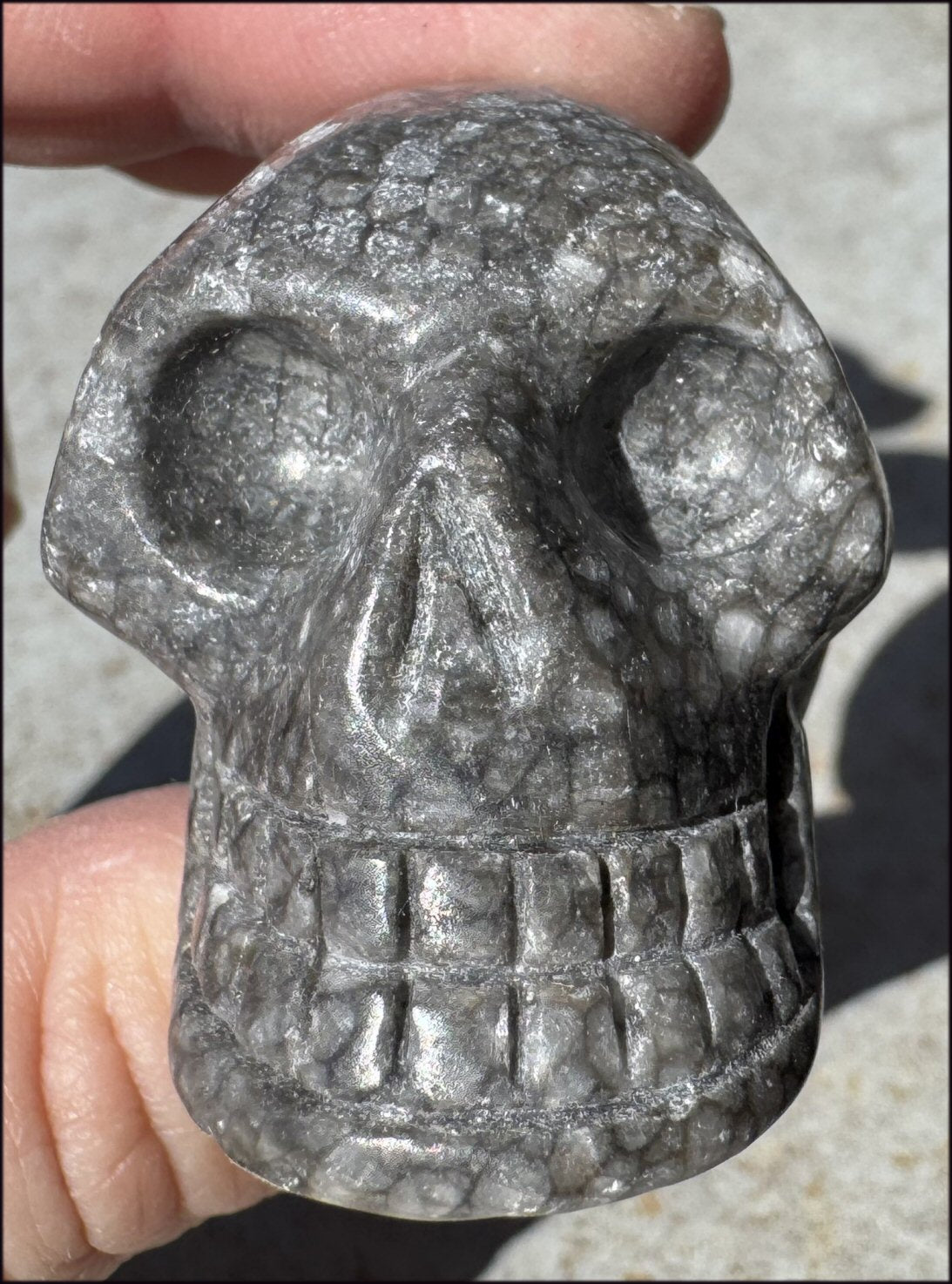 Fossilized Coral CRYSTAL SKULL - Dissipate negativity, Stimulate 3rd Eye