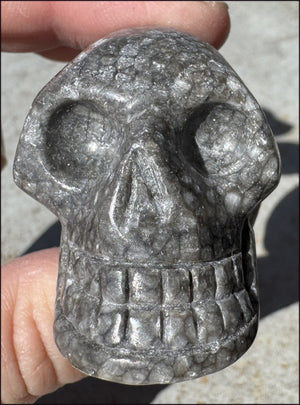 Fossilized Coral CRYSTAL SKULL - Dissipate negativity, Stimulate 3rd Eye